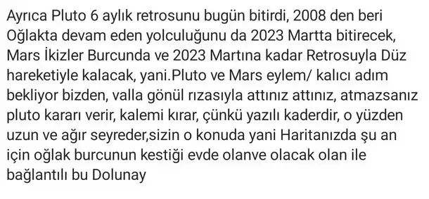 koç2 (2).webp