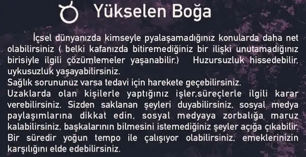 koç2 (3).webp