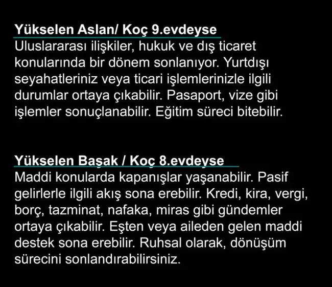 koç2 (3).webp