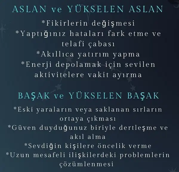 koç2 (4).webp