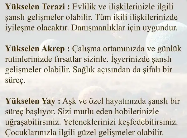 koç2 (4).webp