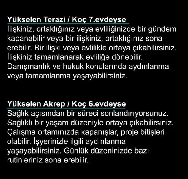 koç2 (4).webp