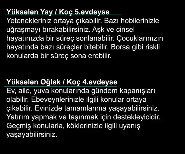 koç2 (5).webp