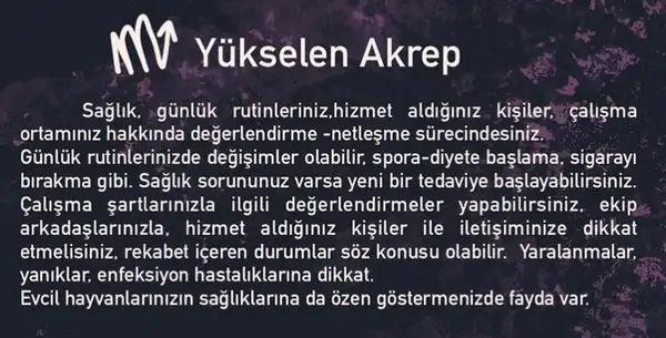 koç2 (9).webp