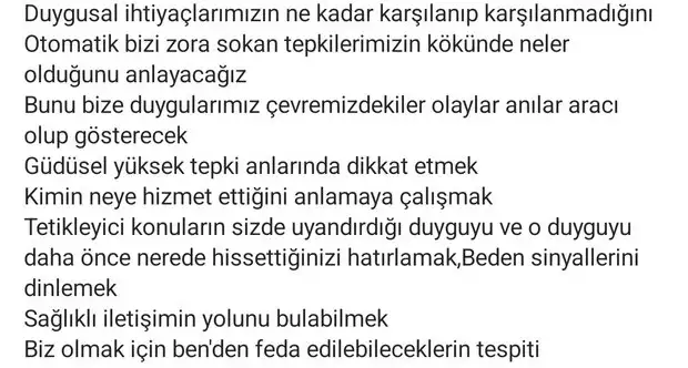 koç20 (3) - Kopya.webp