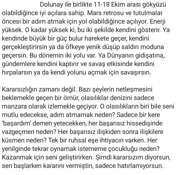 koç22 (2).webp