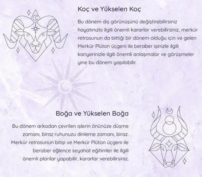 koç25 (3).webp