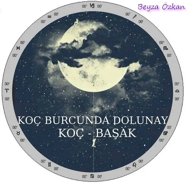 koç3 (1).webp