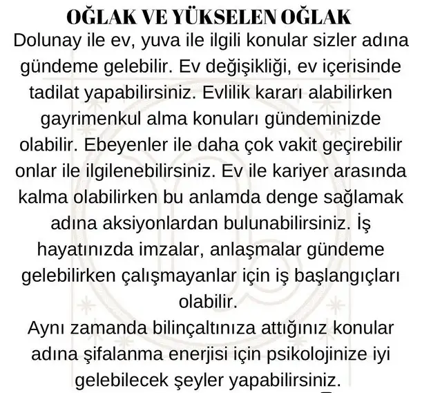 koç3 (11).webp