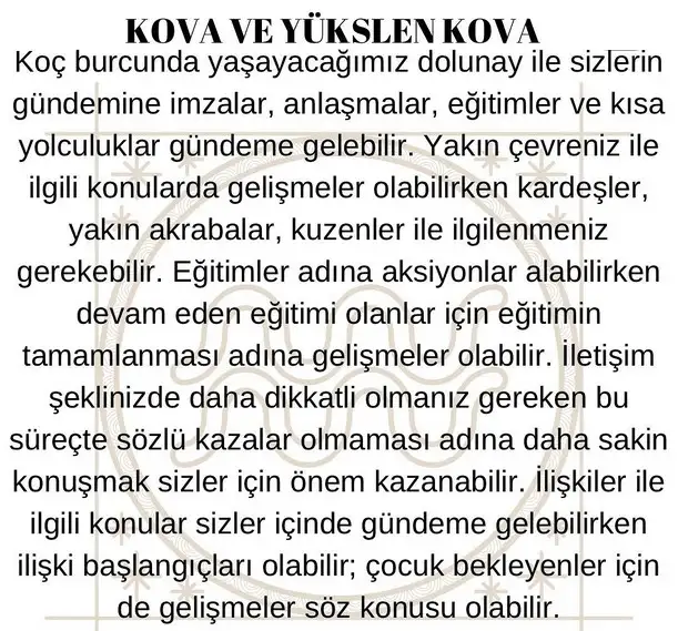 koç3 (12).webp