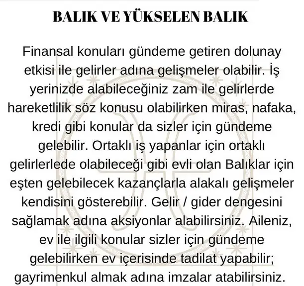 koç3 (13).webp