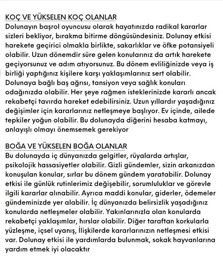 koç3 (2).webp
