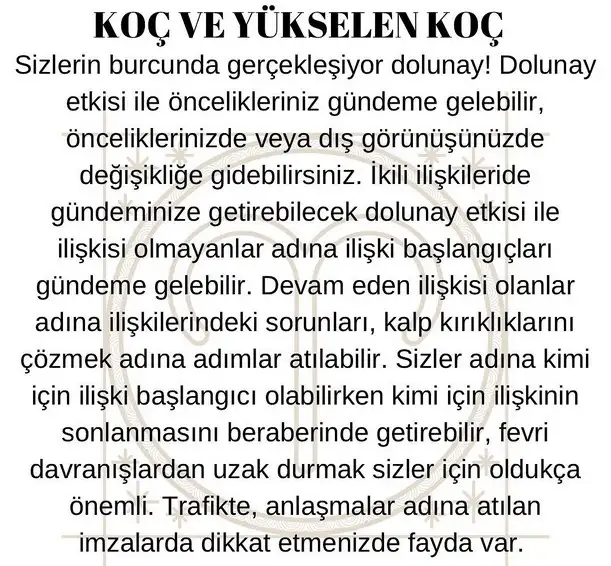 koç3 (2).webp