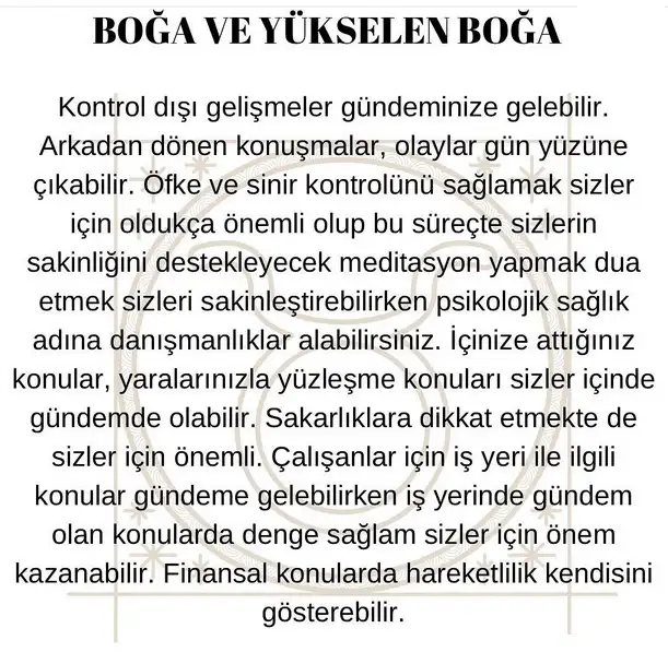 koç3 (3).webp