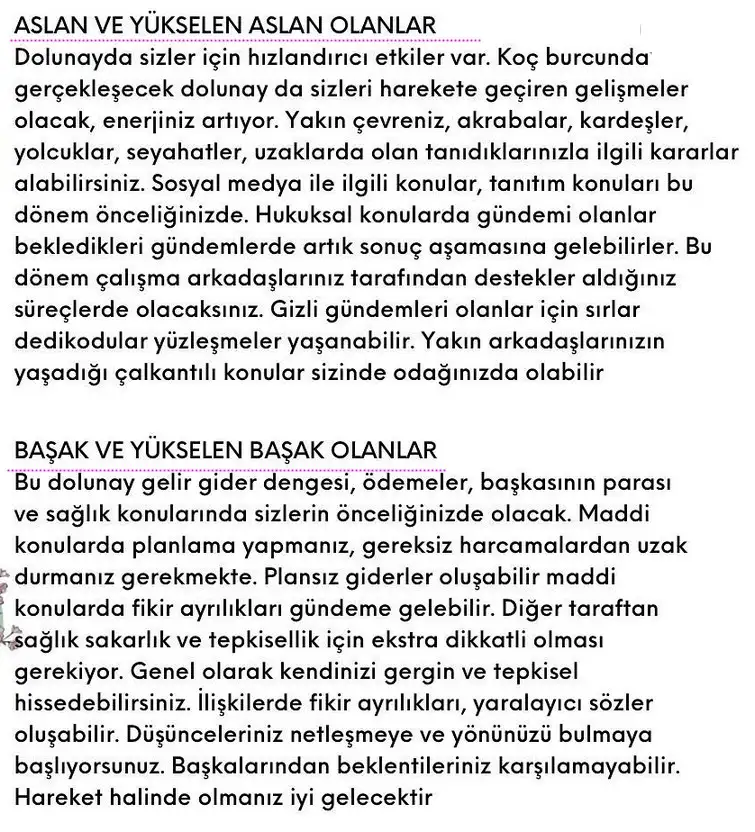 koç3 (4).webp
