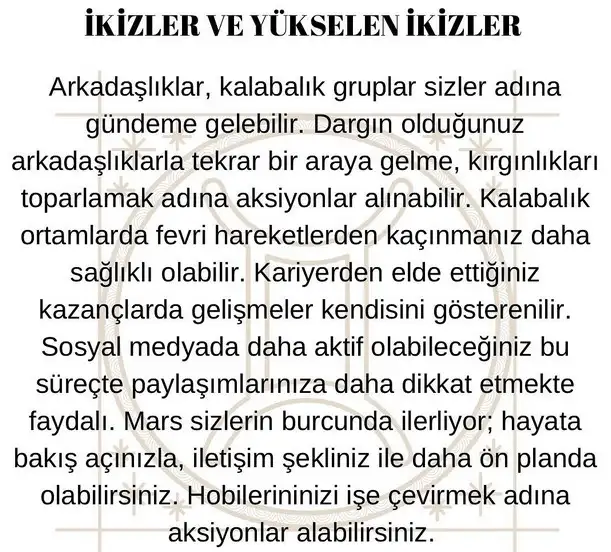 koç3 (4).webp