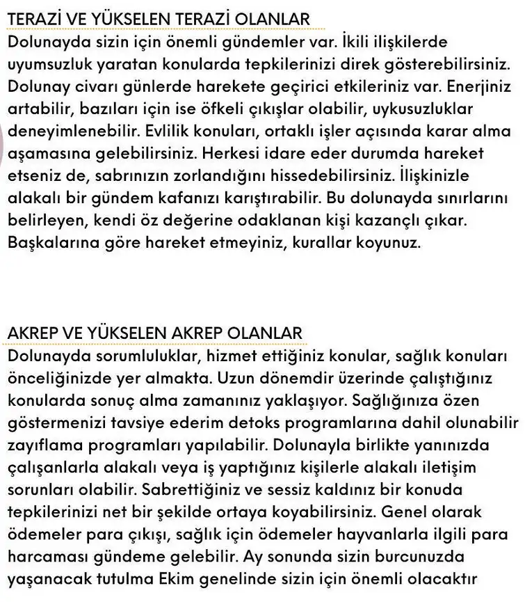 koç3 (5).webp