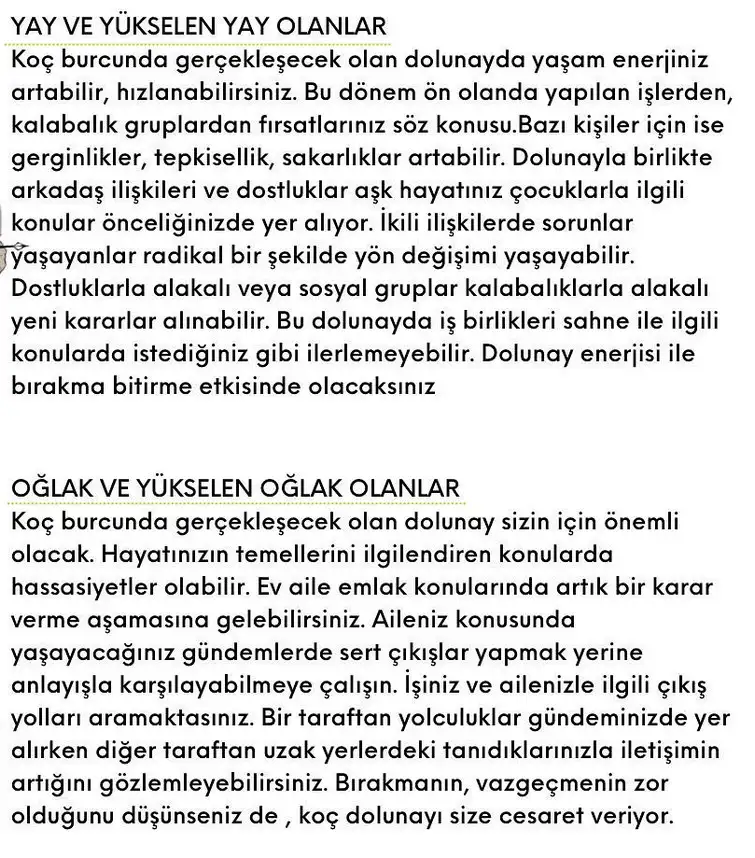koç3 (6).webp
