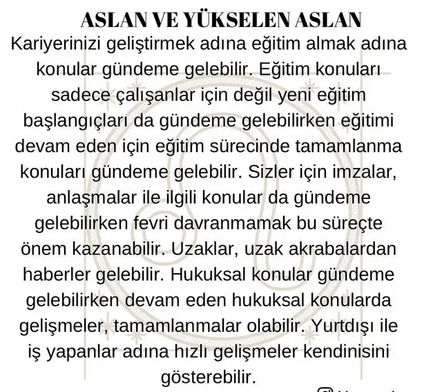 koç3 (6).webp