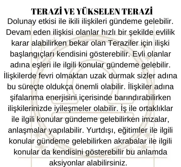 koç3 (8).webp