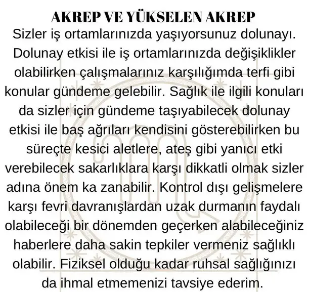 koç3 (9).webp