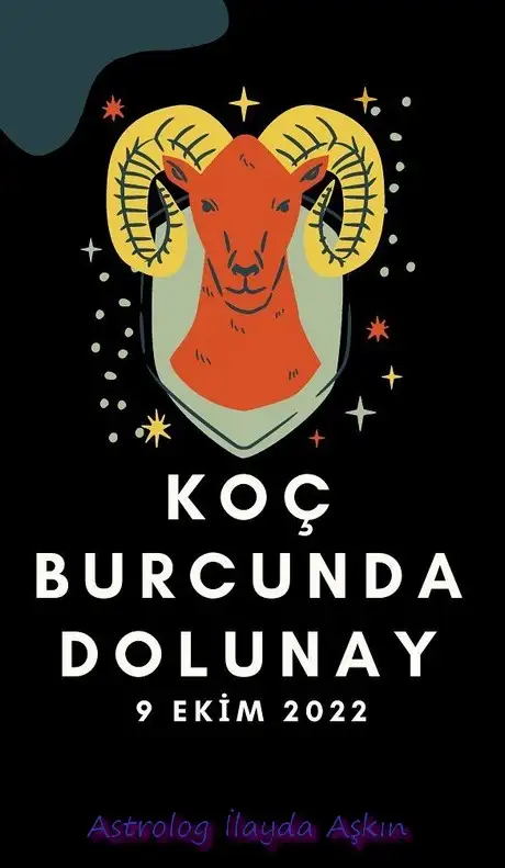 koç30 (1).webp