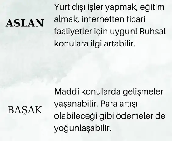 koç30 (3).webp