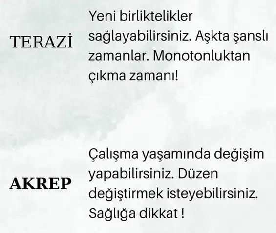 koç30 (4).webp