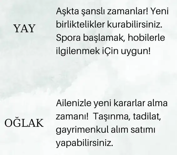 koç30 (5).webp