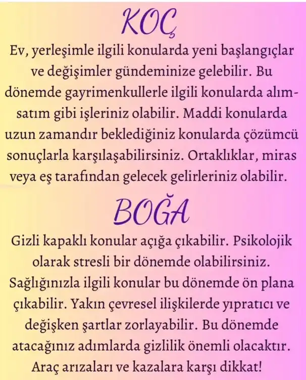 koç33 (2).webp
