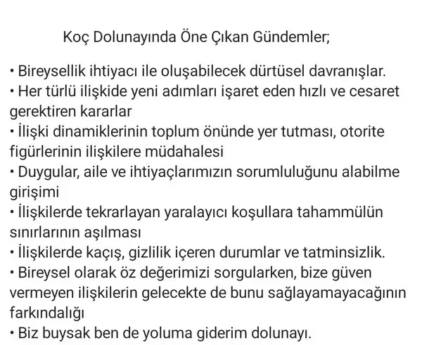 koç4 (2).webp