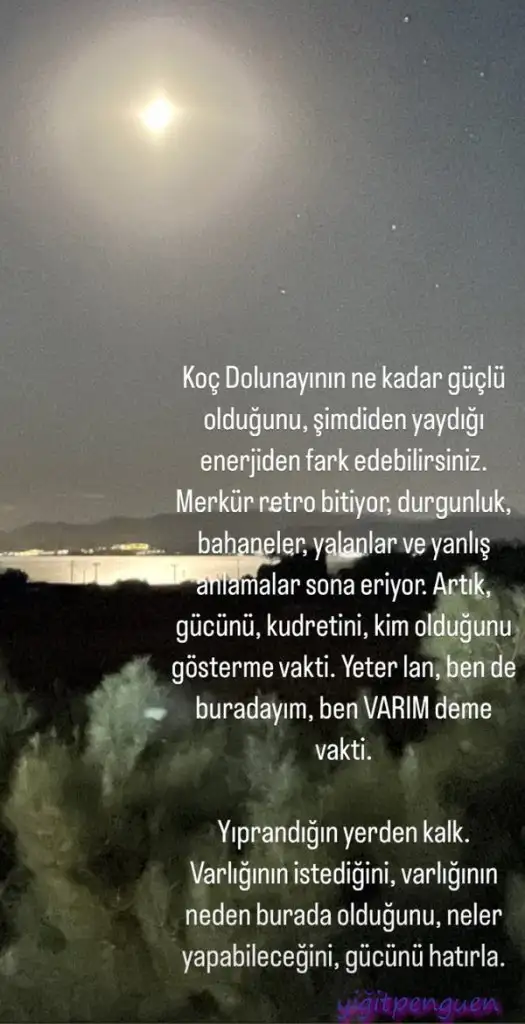 koç4.webp