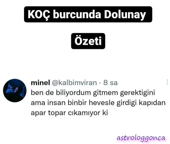 koç4.webp