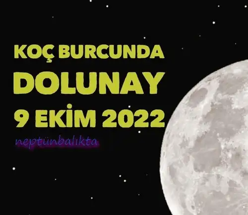 koç41 (1).webp