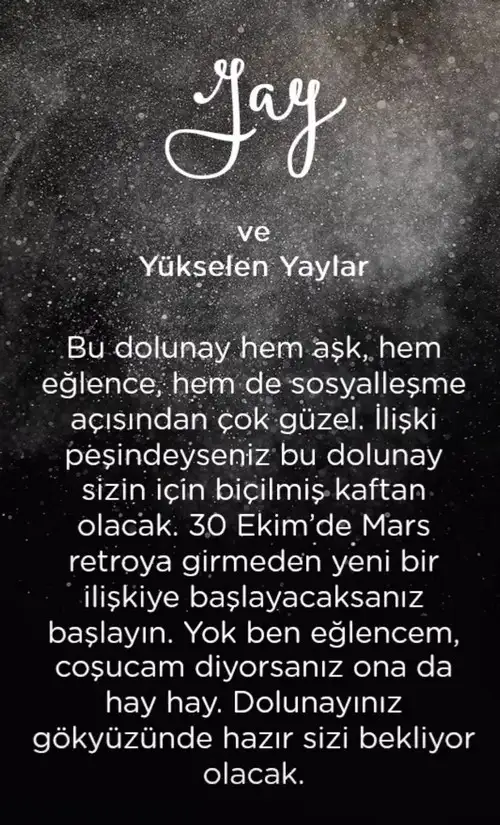 koç41 (10).webp