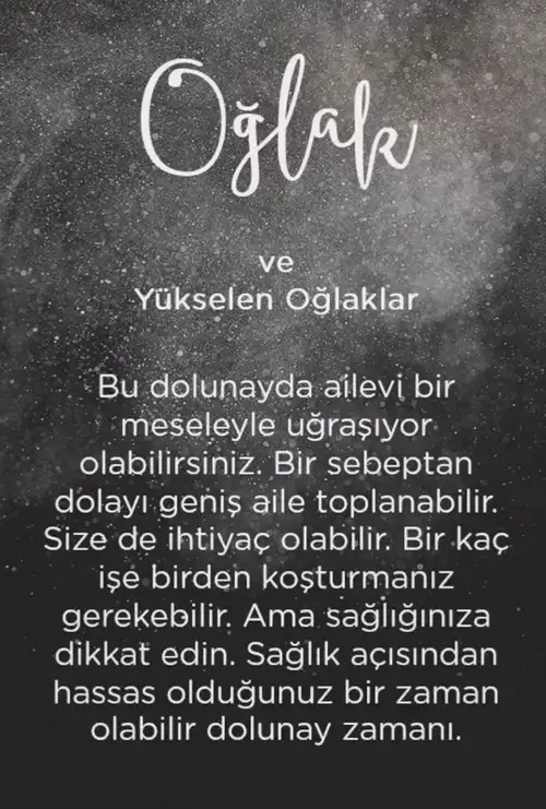 koç41 (11).webp