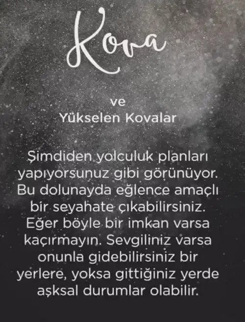 koç41 (12).webp