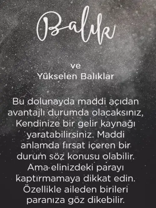 koç41 (13).webp