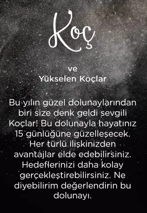 koç41 (2).webp