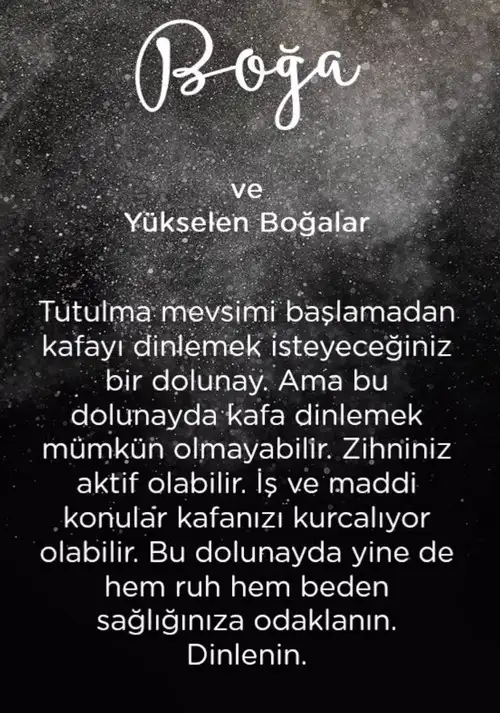 koç41 (3).webp