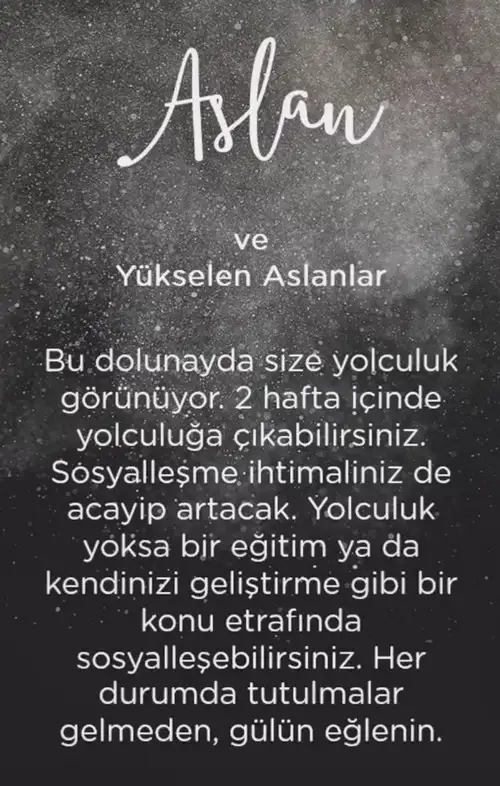 koç41 (6).webp