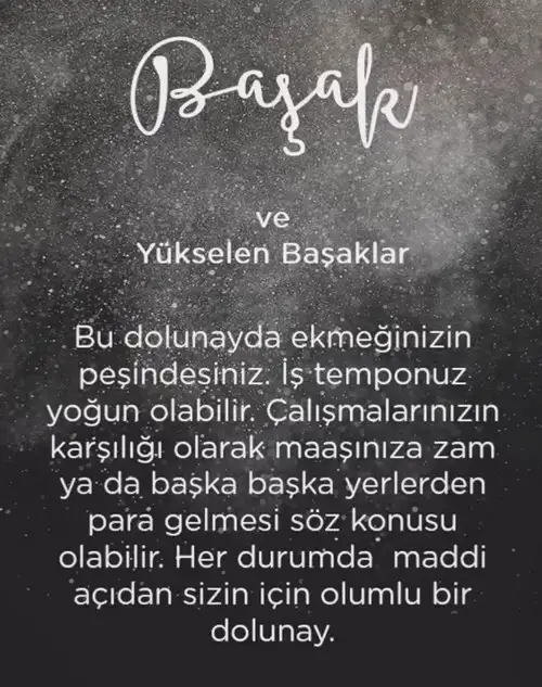 koç41 (7).webp