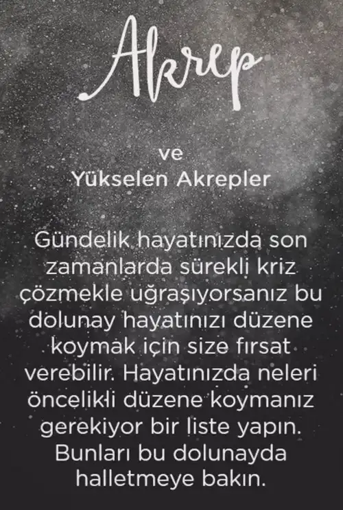 koç41 (9).webp