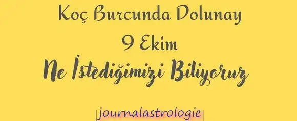 koç42 (1).webp