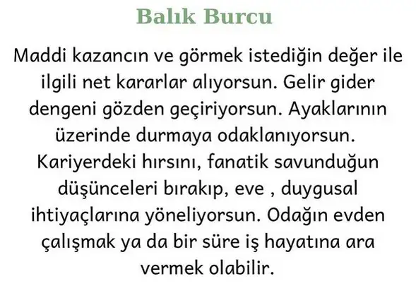 koç42 (13).webp