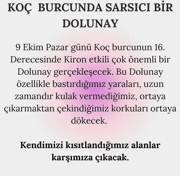 koç43 (1).webp