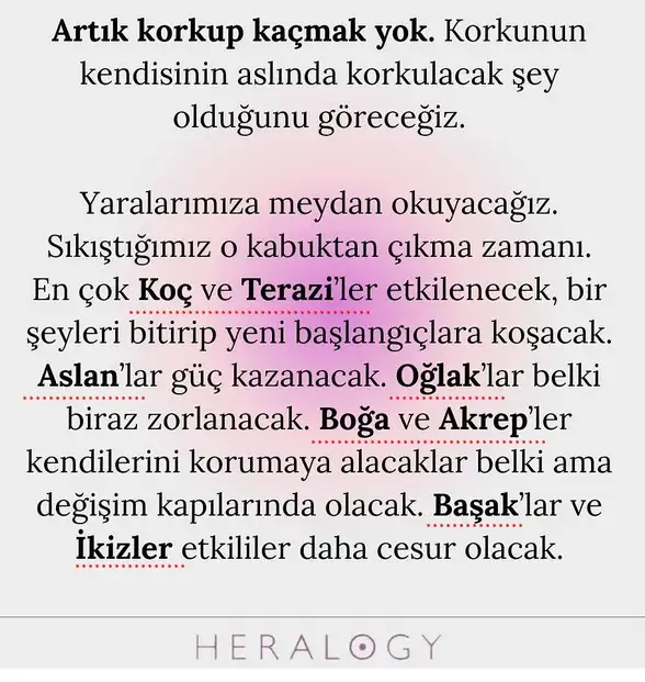 koç43 (2).webp