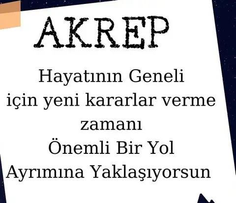 koç44 (8).webp