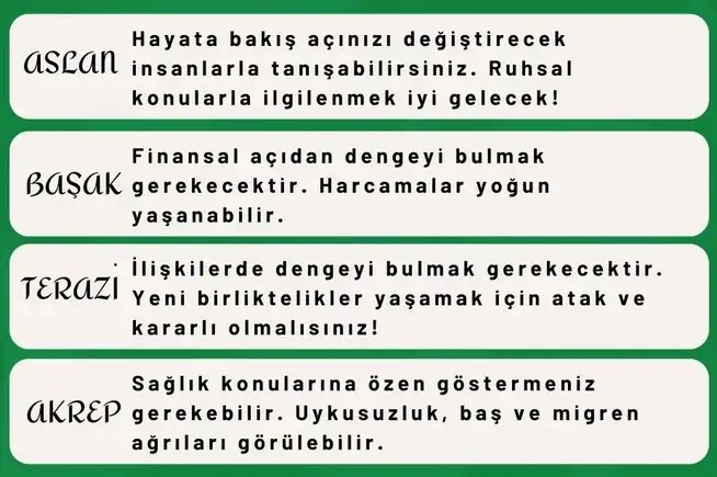 koç45 (2).webp