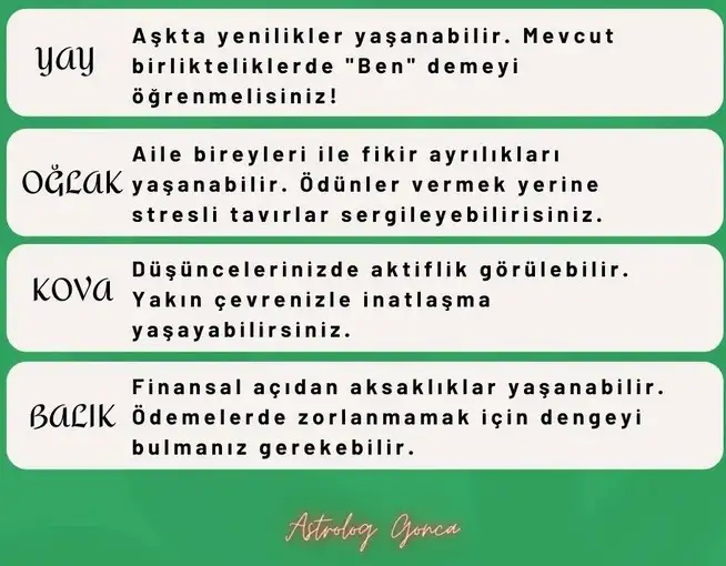 koç45 (3).webp
